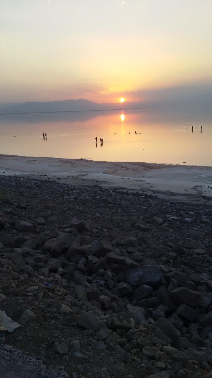 طبیعت