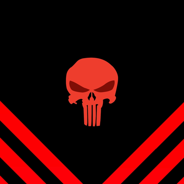 Punisher skull
