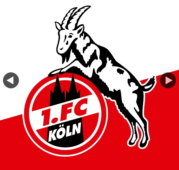 1.FC Köln