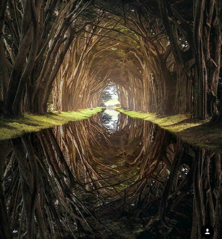 nature