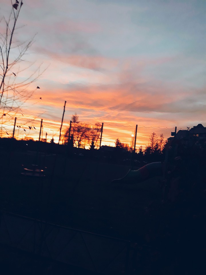 my view from the window