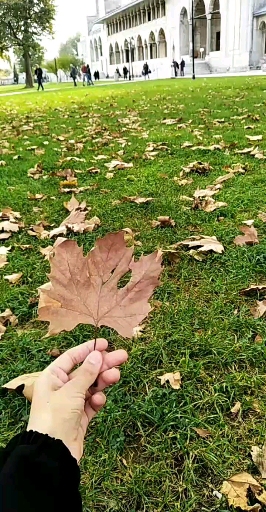autumn