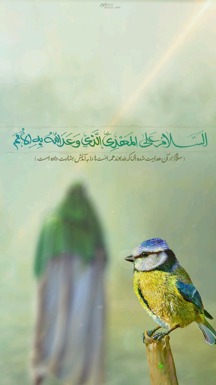 imam Mahdi