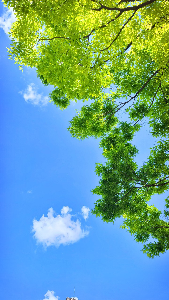 blue sky