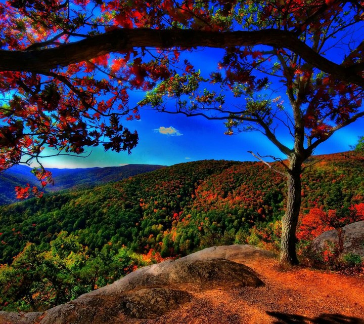 nature