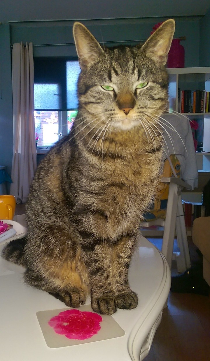 Mr. Fred