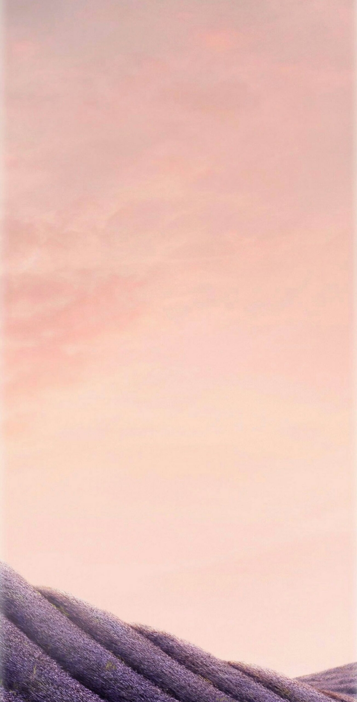 Orchid Gray