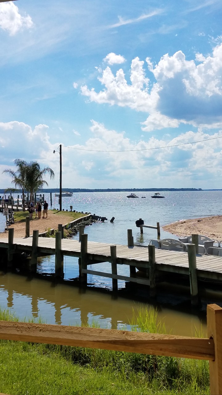 a day at the bay