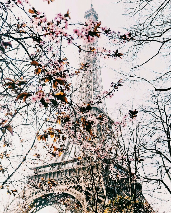 Spring in Paris