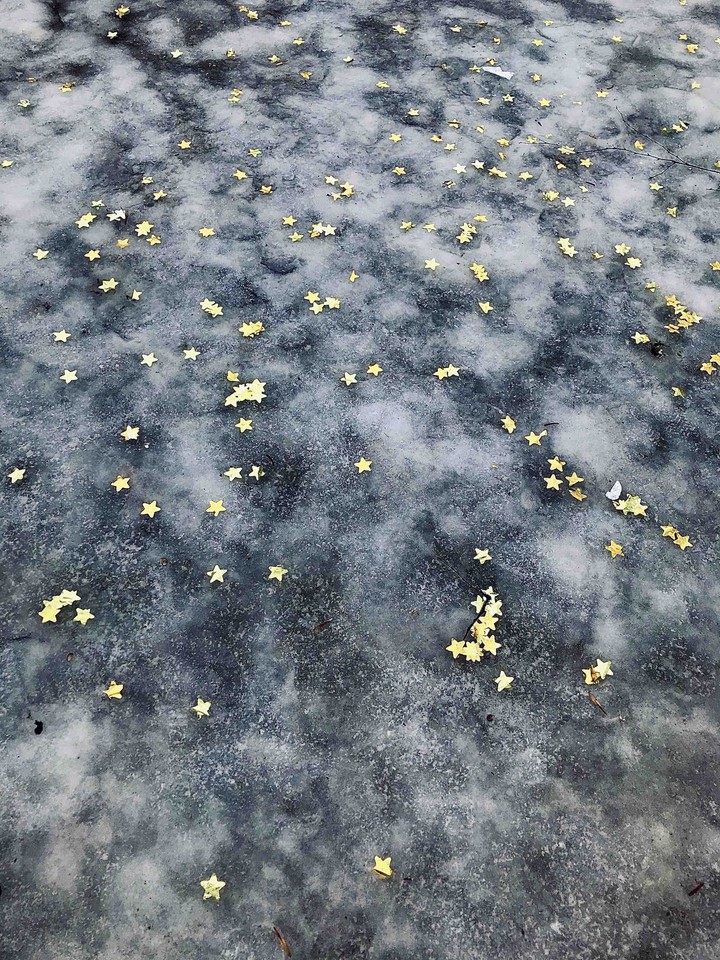 ✨✨✨