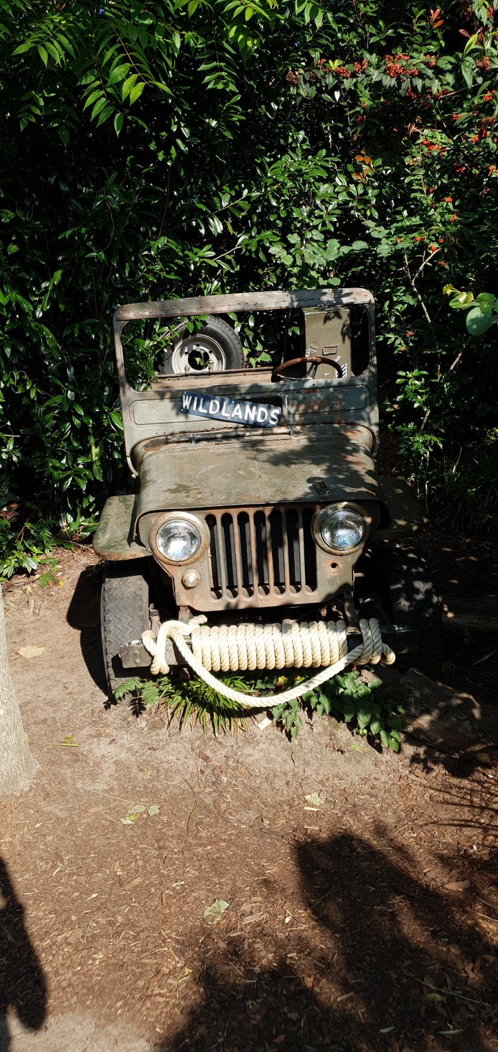 old Jeep