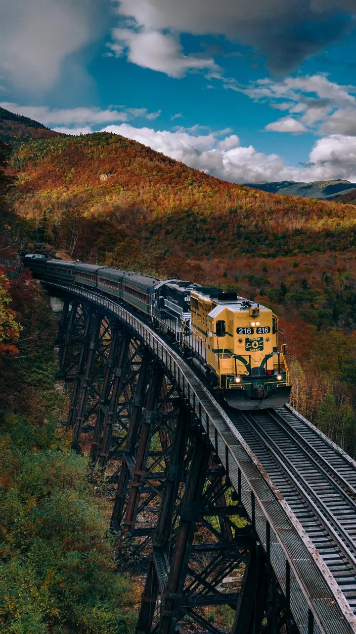 Train Transport