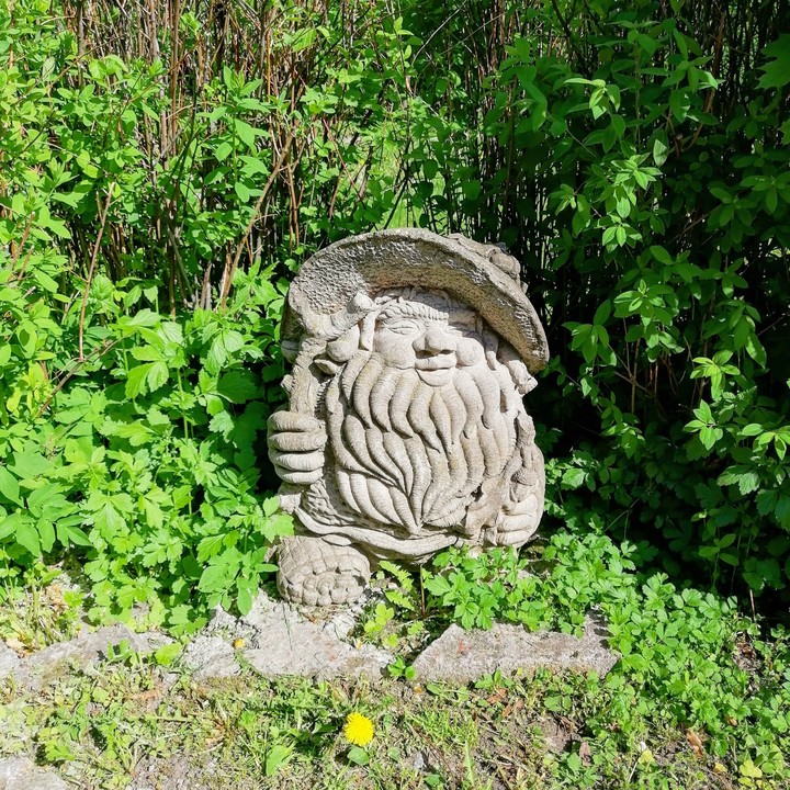 Гном