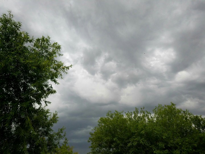 Clouds & Trees