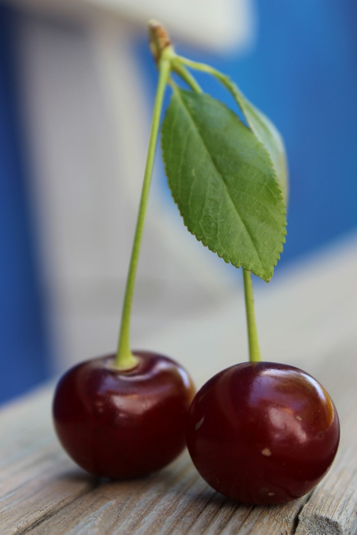 cherry fruit food producte plant