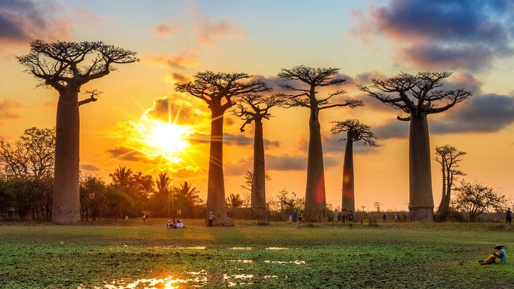 Madagascar....