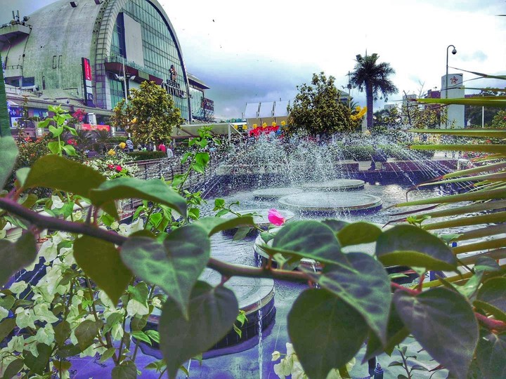 Nature everywhere