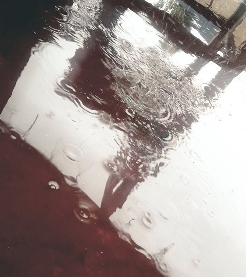 rain ❤❤