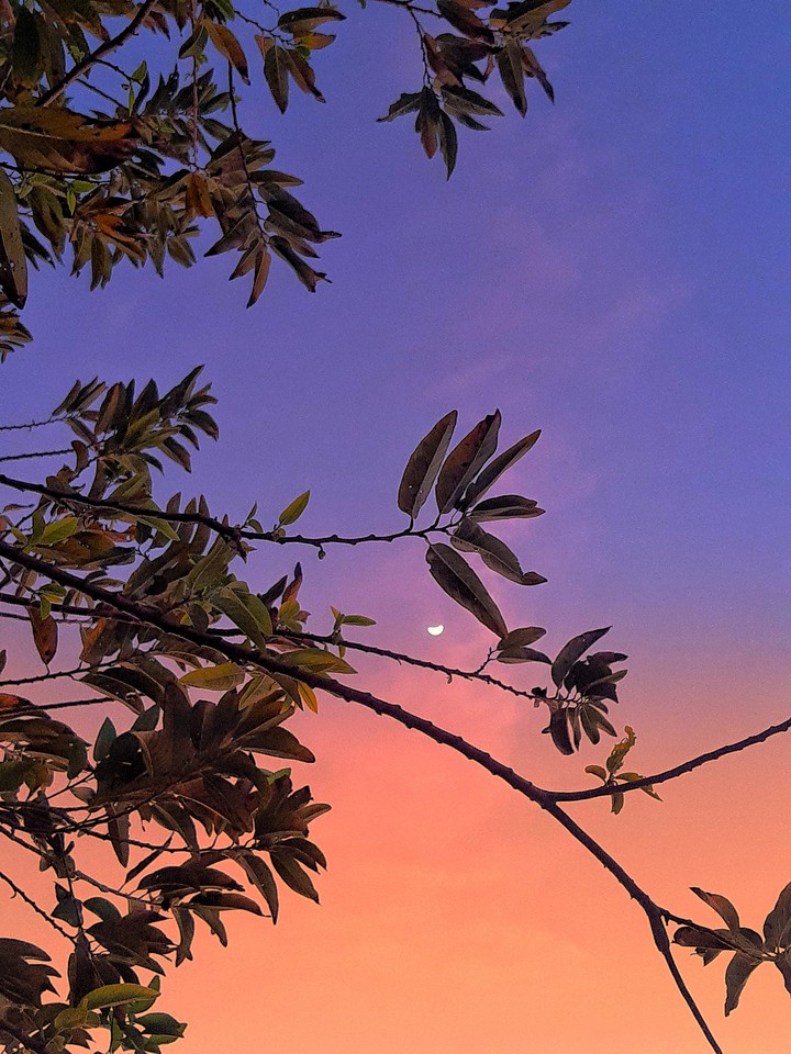 fim de tarde