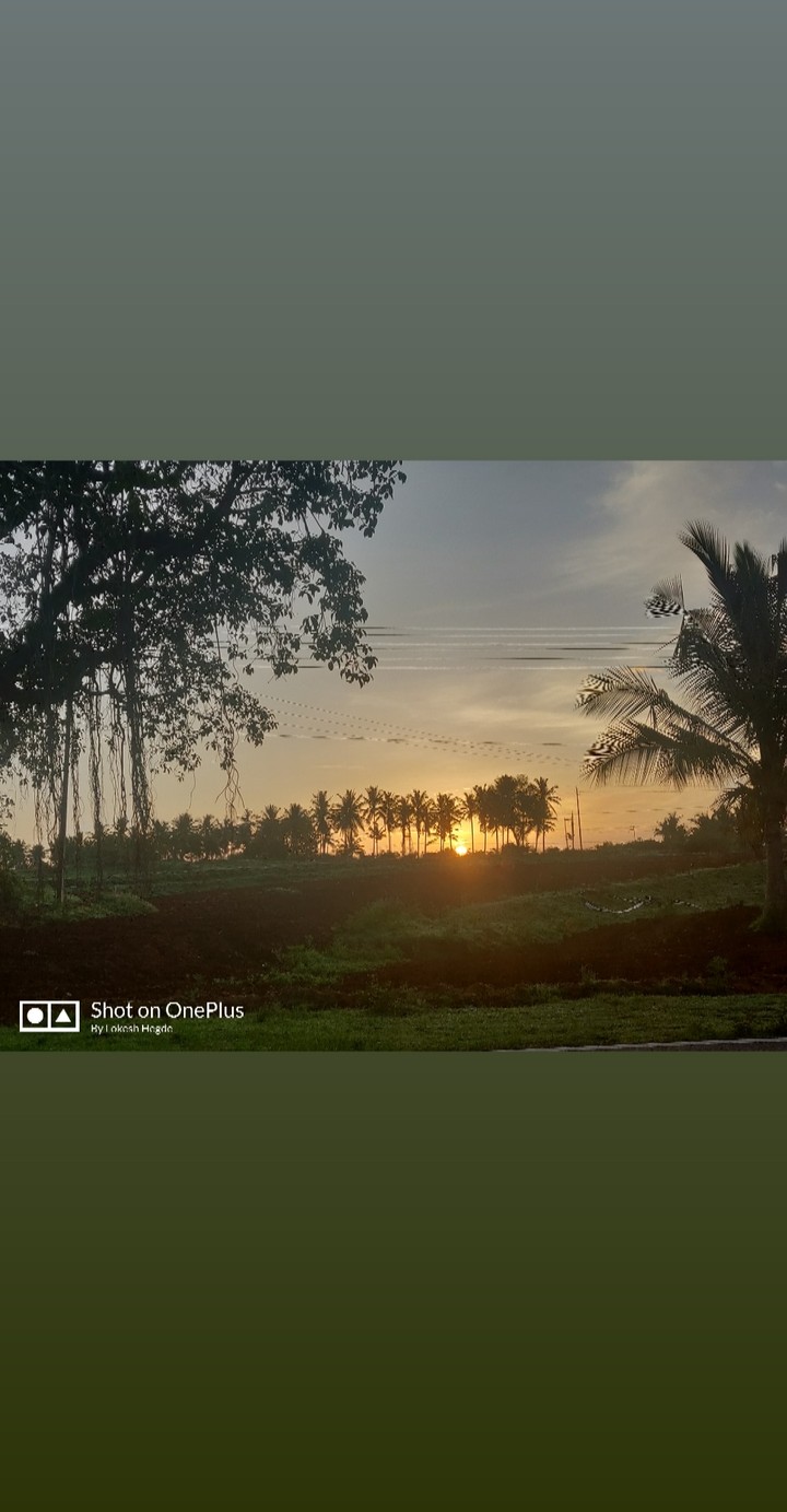 Devine Sunset
