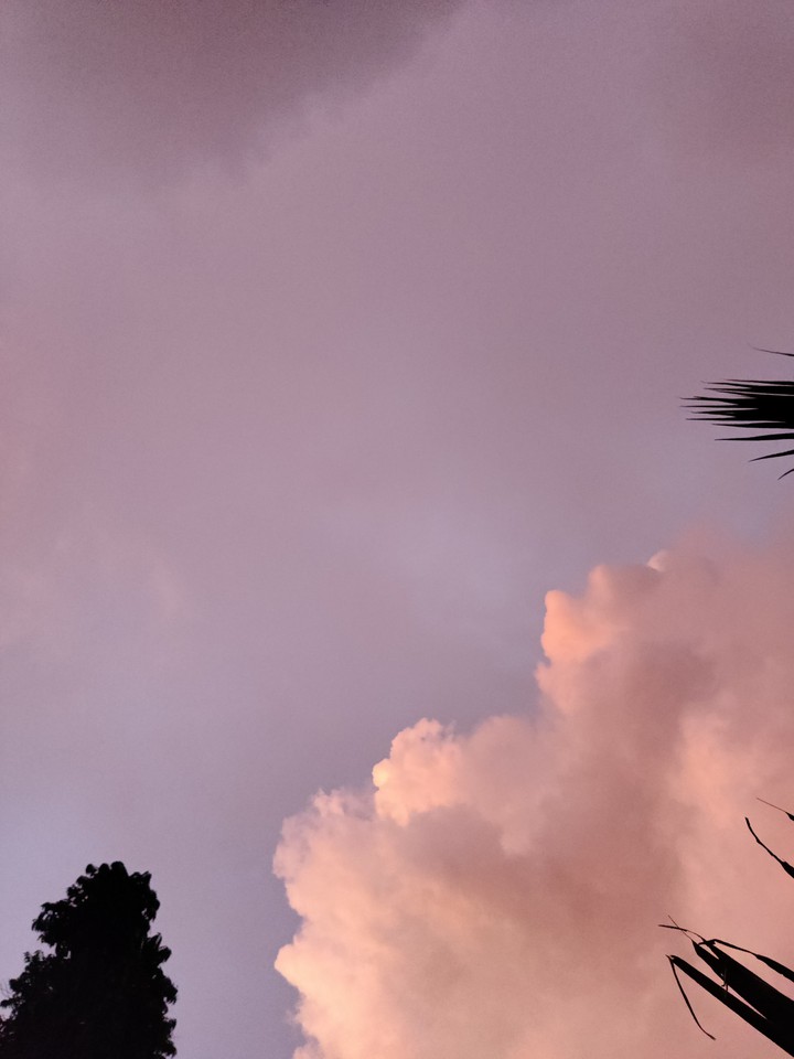 PINK SKY