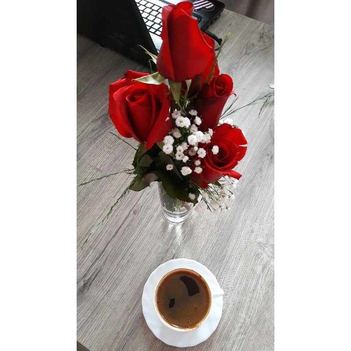 rose