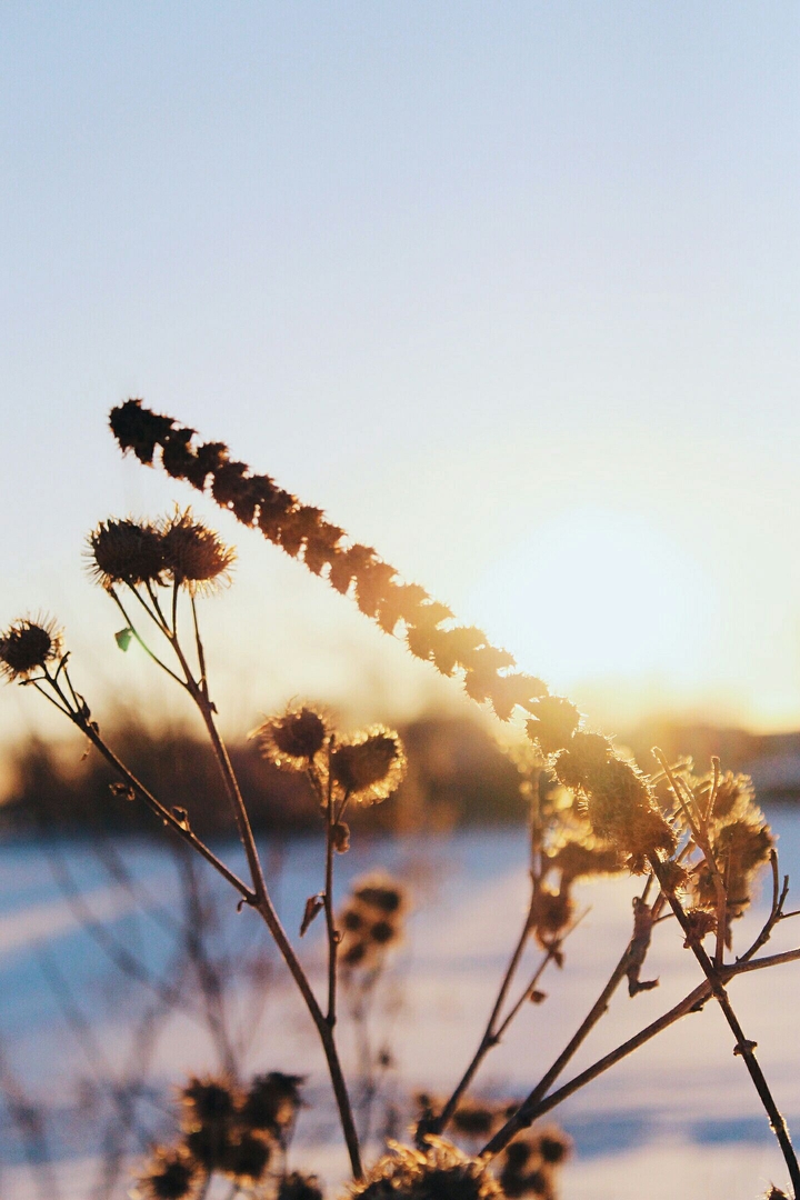 winter