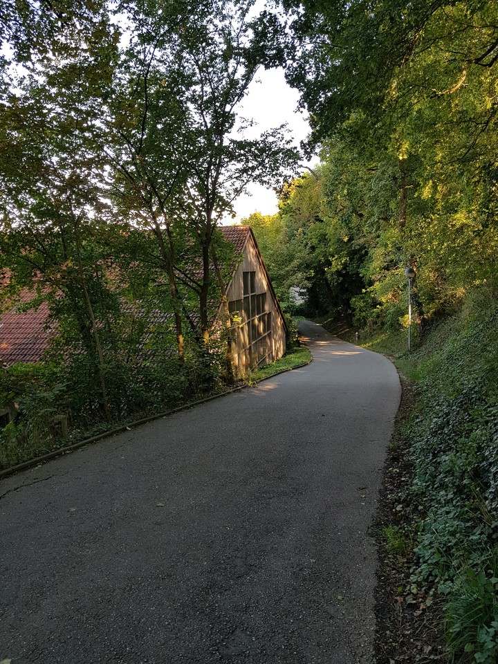 Just Germany ... and a small Forest
