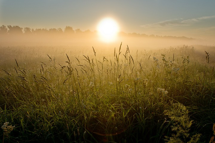 sunshine