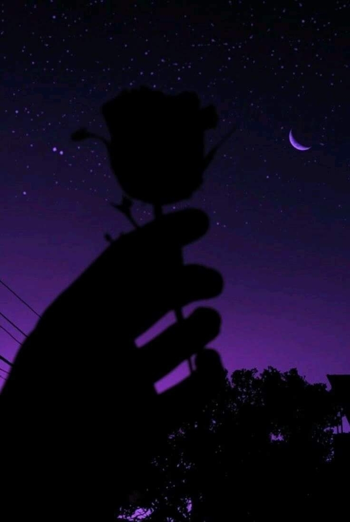 Love of the violet