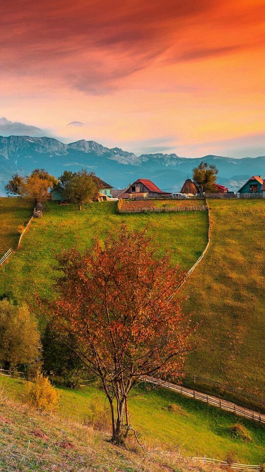 дом в деревне