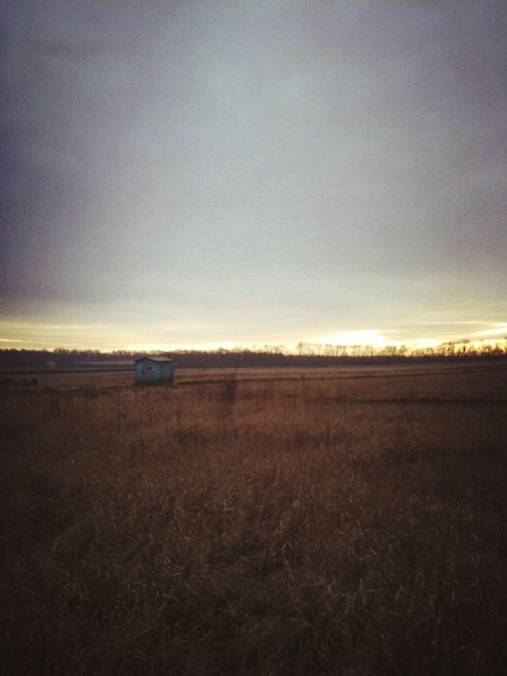 field