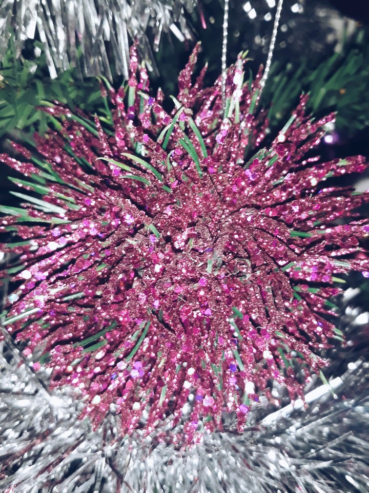 Shiny ornament