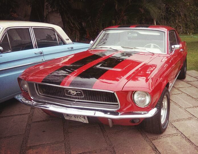 Mustang