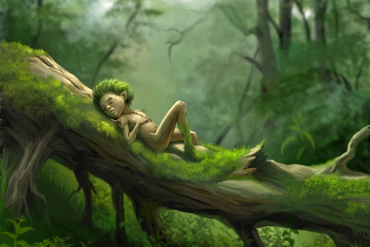 Forest Fairy