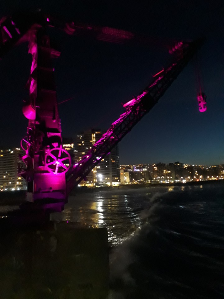 muelle vergara