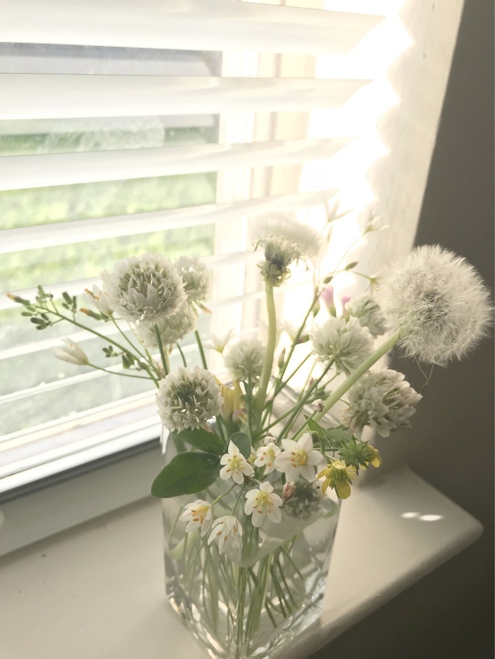 wild flowers