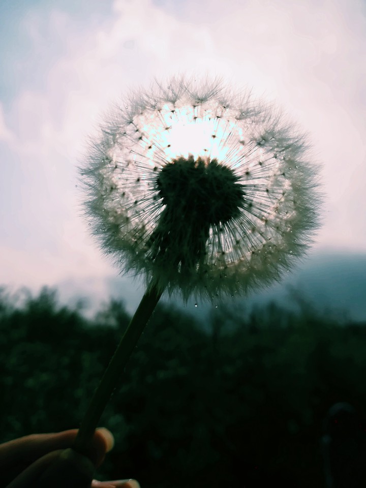 sun