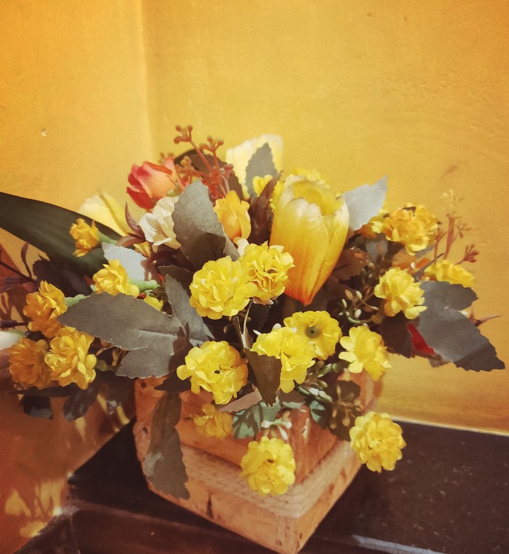 Summers are more brigther with Yellow bloomed flowers