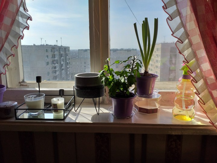flowers