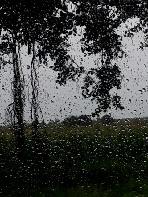 rain