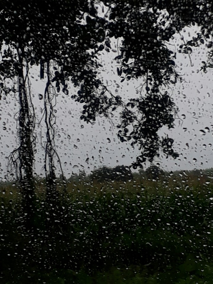 rain