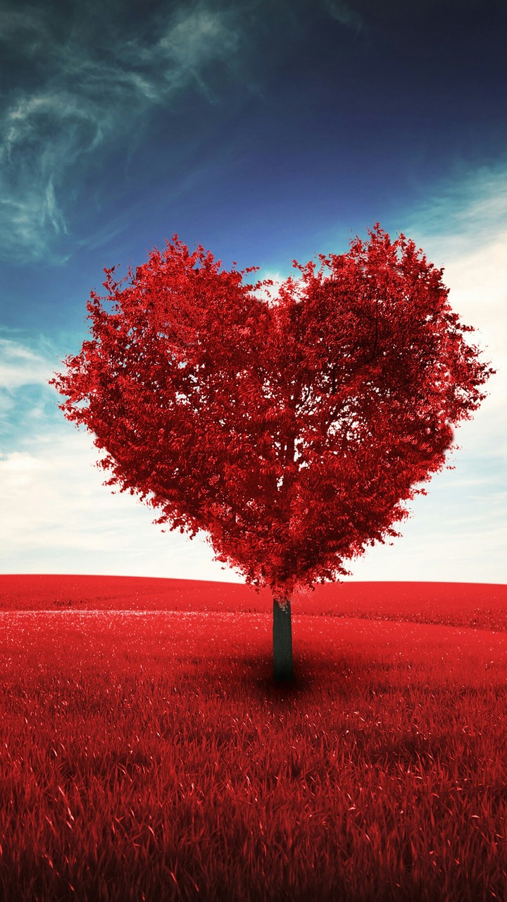 LOVE SHAPE TREE