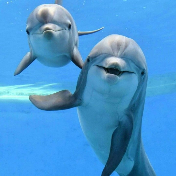 cute