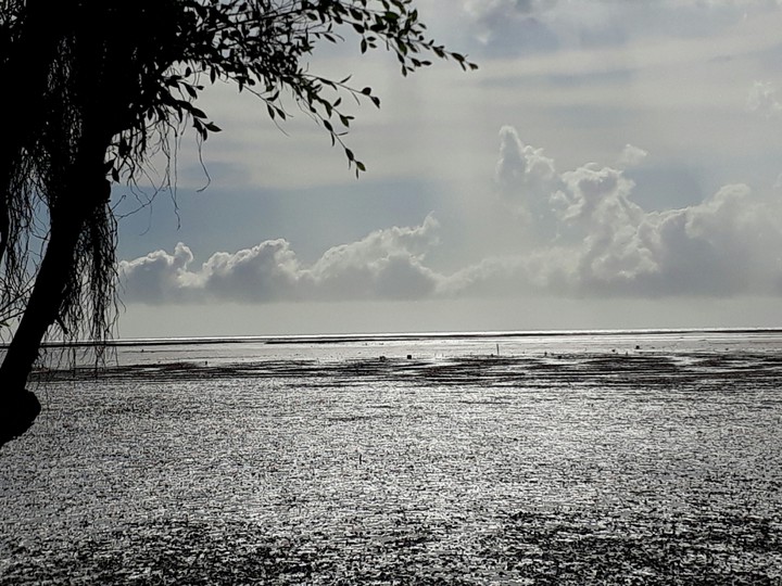 sea 海洋