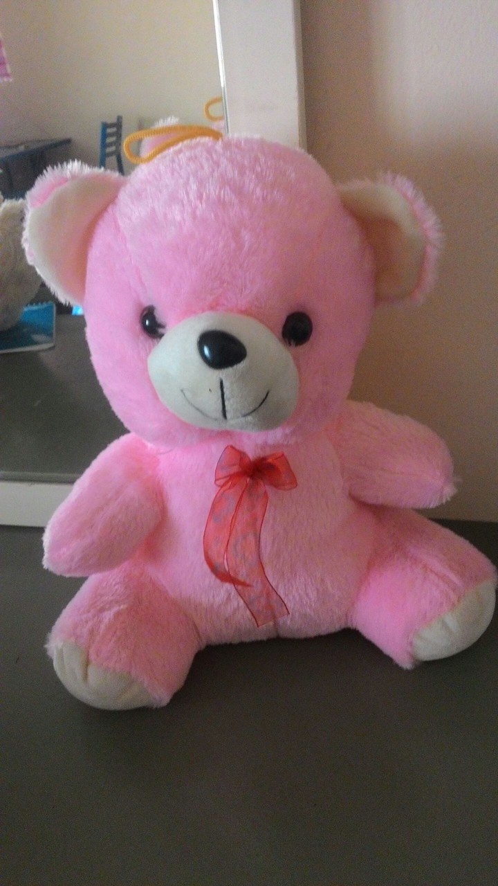 teddy