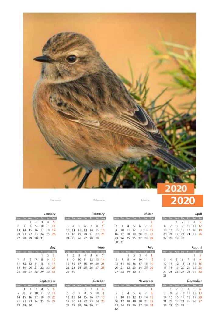 202o