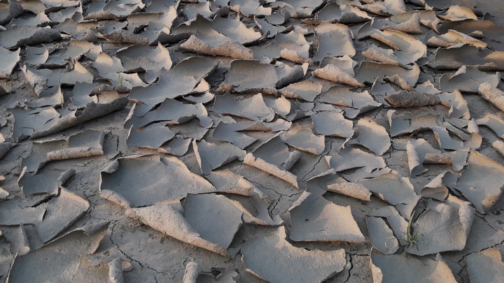 soil