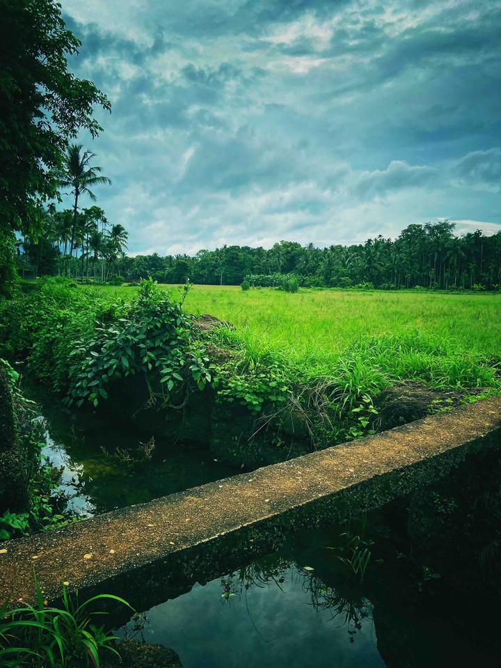 kerala beauty