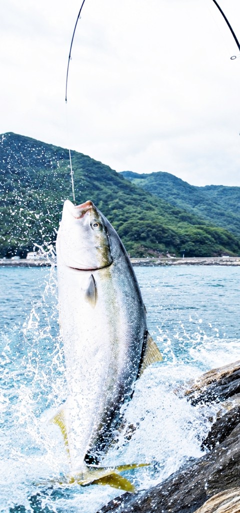 Fishing, recreation Hintergrundbilder